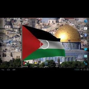 Meet your Posher, Mohammed